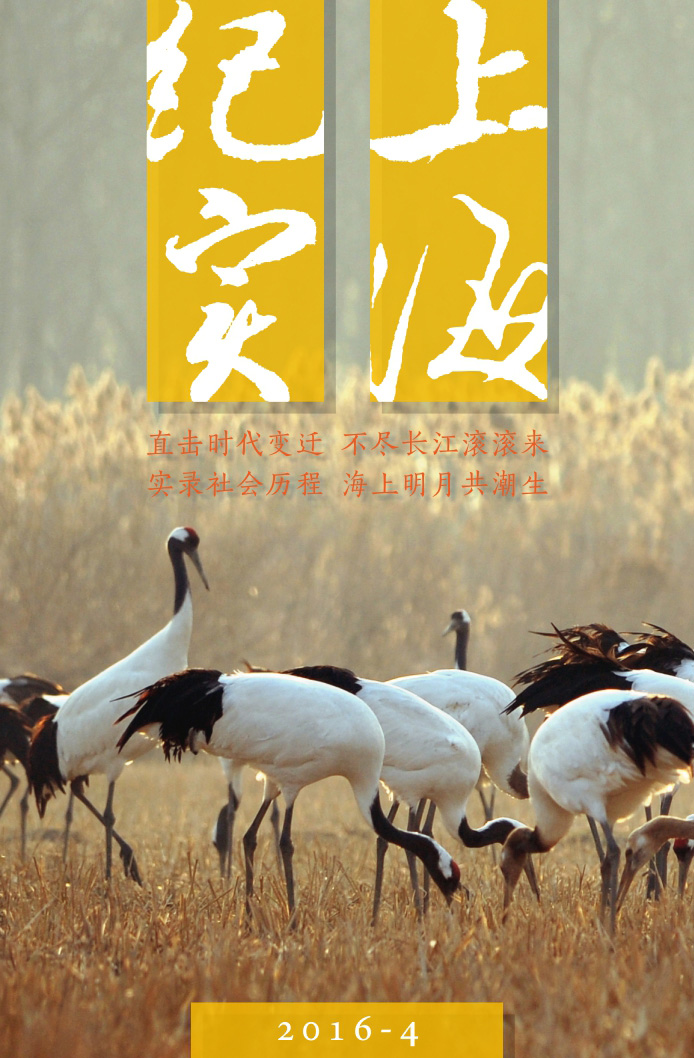 上海紀(jì)實(shí)